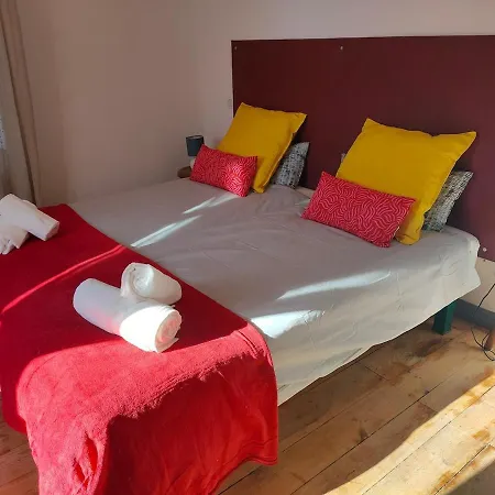 Nid Cosy Face A La Cathedrale Saint-Flour (Cantal)